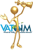 Vatsim flight